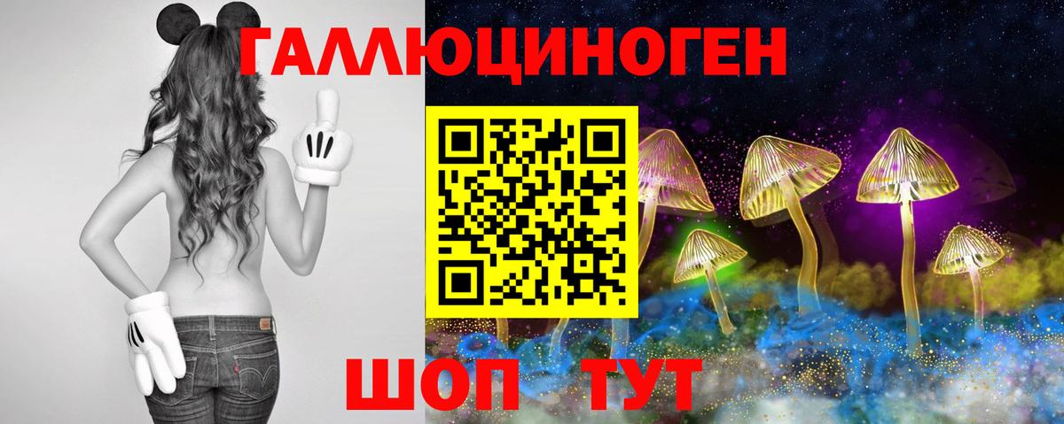 Галлюциногенные грибы Psilocybe  Вход с VPN  Галлюциногенные грибы GOLDEN TEACHER  Алушта 